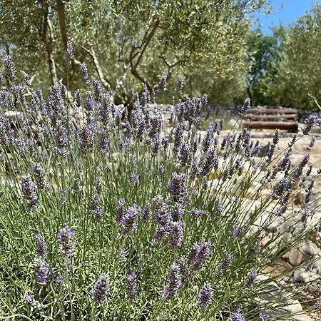 Antini Dvori Imotski