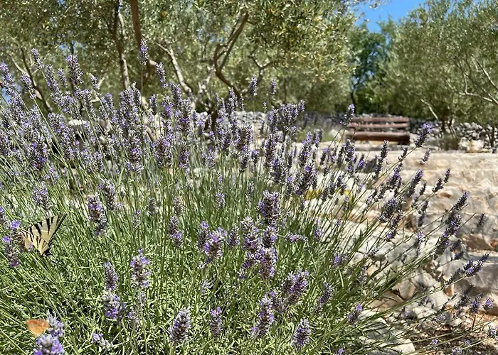 Antini Dvori Imotski